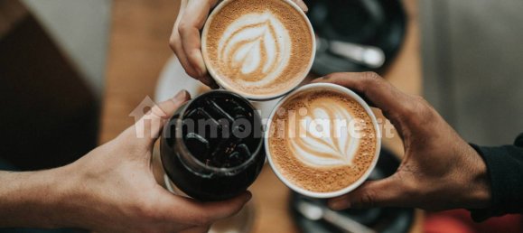 1-Zimmer Gewerbliche Immobilie in Castiglione Olona, Italy, Nr. 75405 4