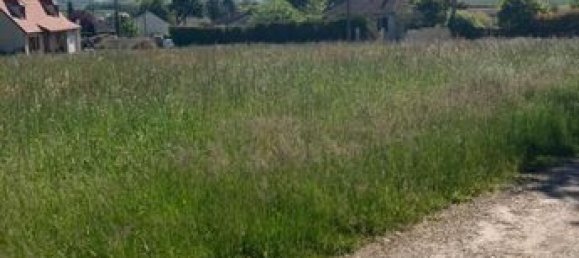 4 bedrooms House in Yonne, France No. 303454 10