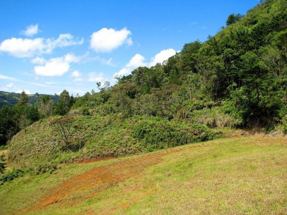 Land in Antioquia, Colombia No. 666
