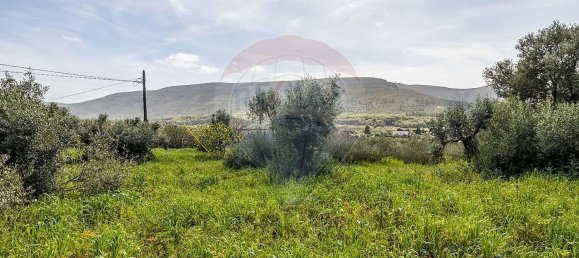 3 غرف نوم منزل في Porto de Mos, Portugal رقم 22858 13