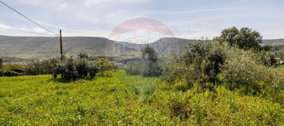 3 غرف نوم منزل في Porto de Mos, Portugal رقم 22858 11