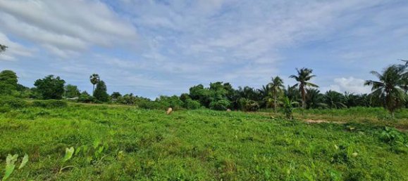  Commercial property in Pattaya, Thailand No. 4936 5