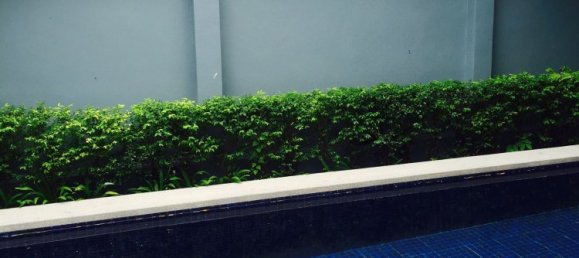 1 chambre house à louer à Bang Tao, Phuket, Southern Thailand, Thailand № 78914 4