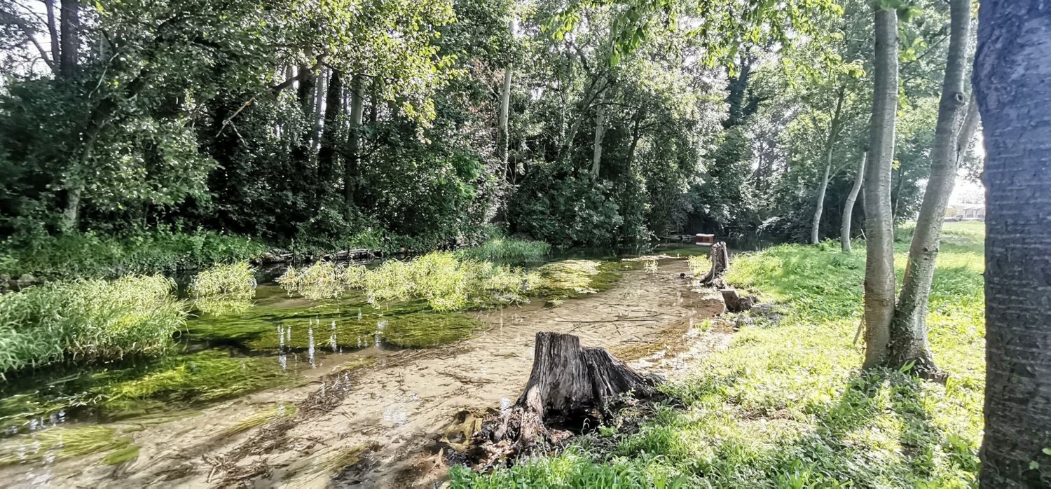 1621m² Land in Ebenfurth, Austria No. 252609