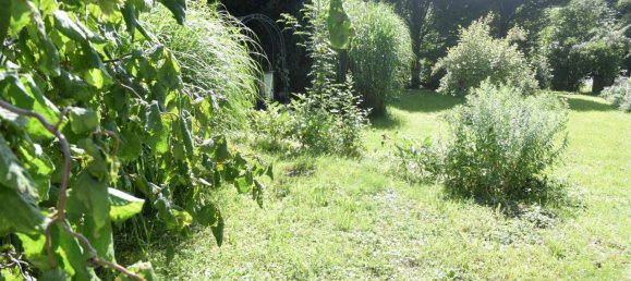 3 rooms House in Waidhofen an der Ybbs, Austria No. 202259 9