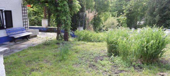 3 rooms House in Waidhofen an der Ybbs, Austria No. 202259 10