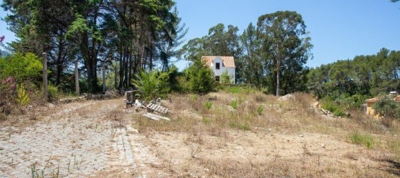 Grundstück in Sintra, Portugal 16360m², Nr. 136306 6