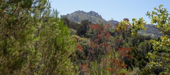 Grundstück in Sintra, Portugal 16360m², Nr. 136306 43