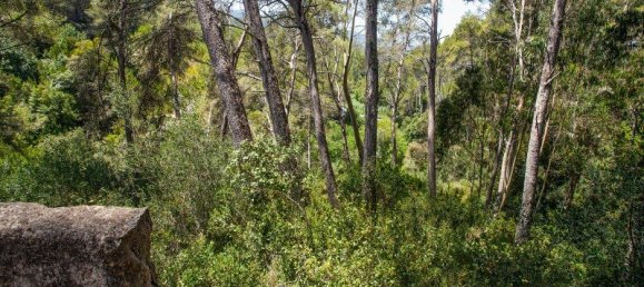 Grundstück in Sintra, Portugal 16360m², Nr. 136306 3