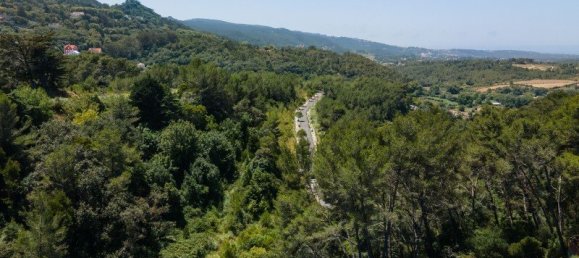 Grundstück in Sintra, Portugal 16360m², Nr. 136306 16