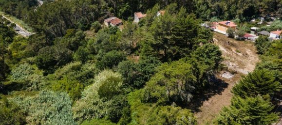 Grundstück in Sintra, Portugal 16360m², Nr. 136306 24