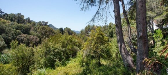 Grundstück in Sintra, Portugal 16360m², Nr. 136306 42