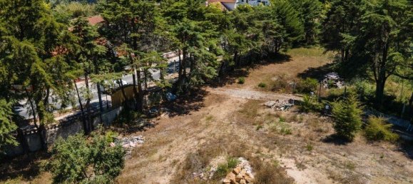 Grundstück in Sintra, Portugal 16360m², Nr. 136306 18