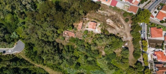 Grundstück in Sintra, Portugal 16360m², Nr. 136306 21