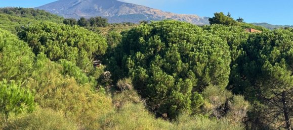 4 غرف نوم منزل في Nicolosi, Italy رقم 371072 24