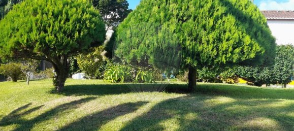 3 bedrooms House in Ponta Delgada, Portugal No. 174993 8