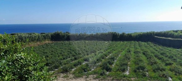 3 bedrooms House in Ponta Delgada, Portugal No. 174993 7