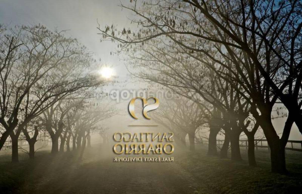 Grundstück in Buenos Aires, Argentina, Nr. 119141