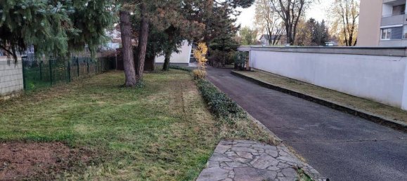 2 rooms Bungalow in Liebenau, Austria No. 177610 4