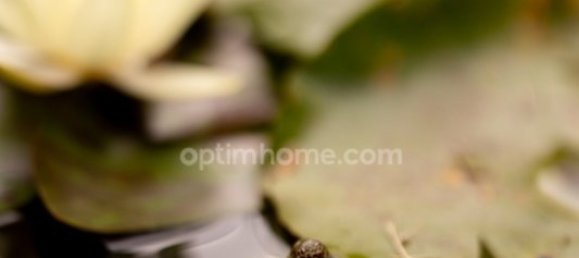 4 chambres Châteaux à Saint-Martin-sur-Ocre, France No. 271041 28