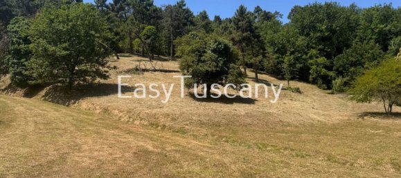 10 Schlafzimmer Haus in Vecchiano, Italy, Nr. 375662 25