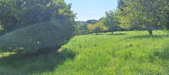1560m² Land in Allerheiligen bei Wildon, Austria No. 231021 7