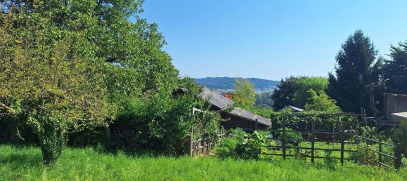 1560m² Land in Allerheiligen bei Wildon, Austria No. 231021 5