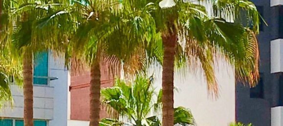 Apartamento de 3 dormitorios en Las Palmas De Gran Canaria, Spain No. 143161 36