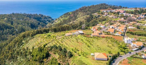 12565m² Land in Calheta, Portugal No. 111396 8