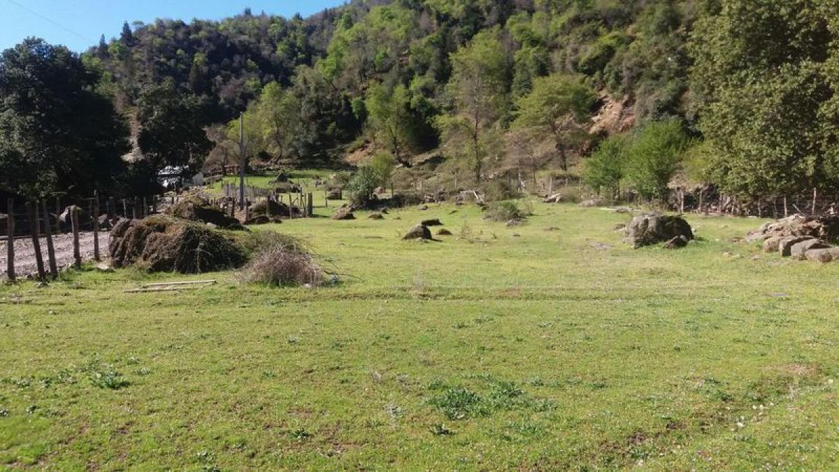  قطعة أرض في Biobio, Chile رقم 1126