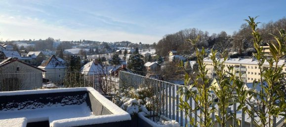 Пентхаус с 7 комнатами в Штейр, Австрия № 94210 23