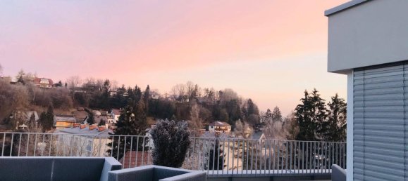 Пентхаус с 7 комнатами в Штейр, Австрия № 94210 22