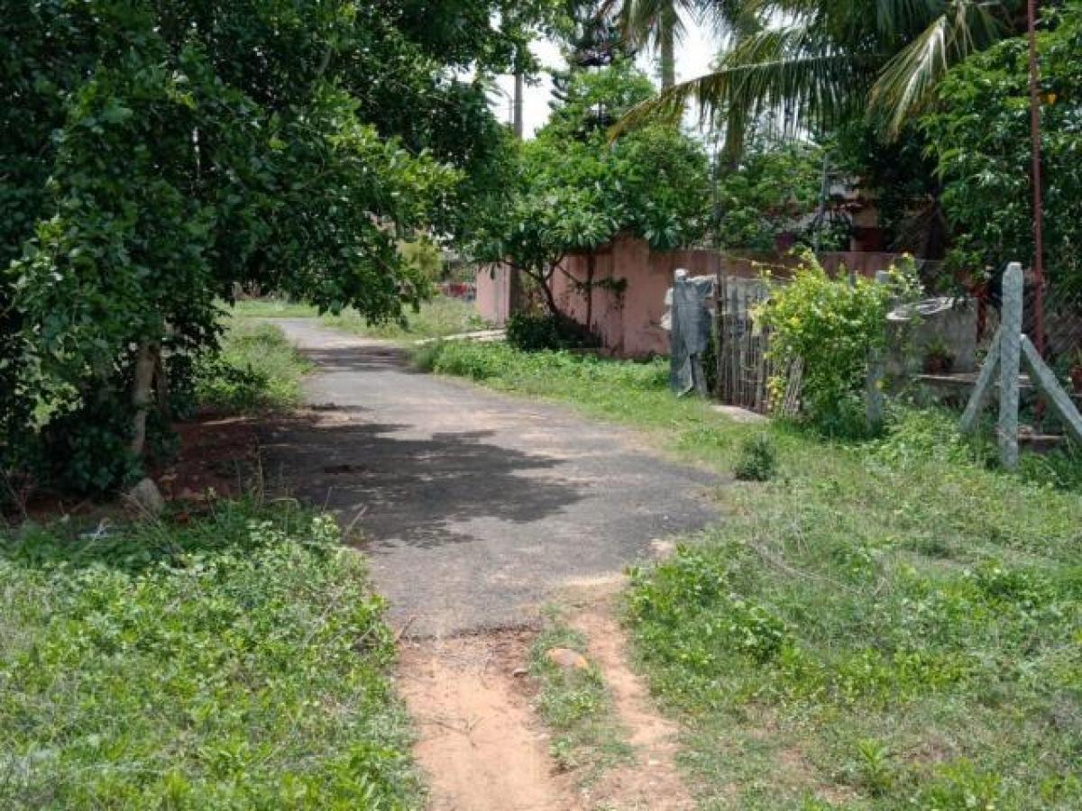  قطعة أرض في Chennai, India رقم 29844