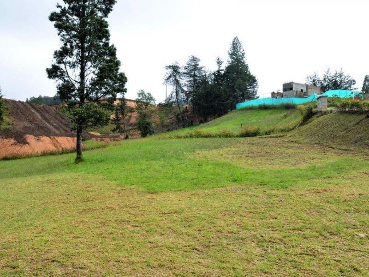 Земельный участок в Антьокия, Колумбия № 262