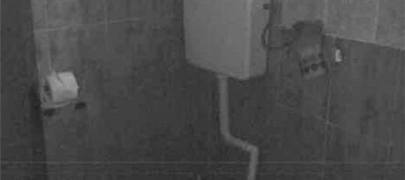 4 bedrooms Apartment in Viguzzolo, Italy No. 381475 12