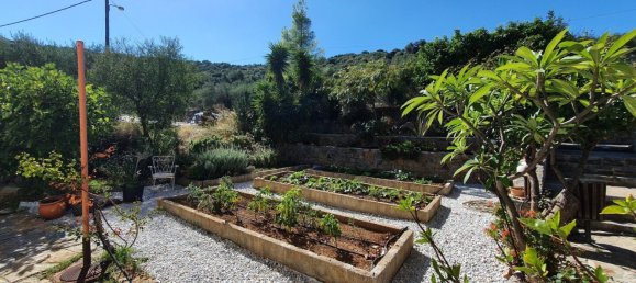  عقار تجاري في Agios Nikolaos, Greece 400متر مربع رقم 3443 3