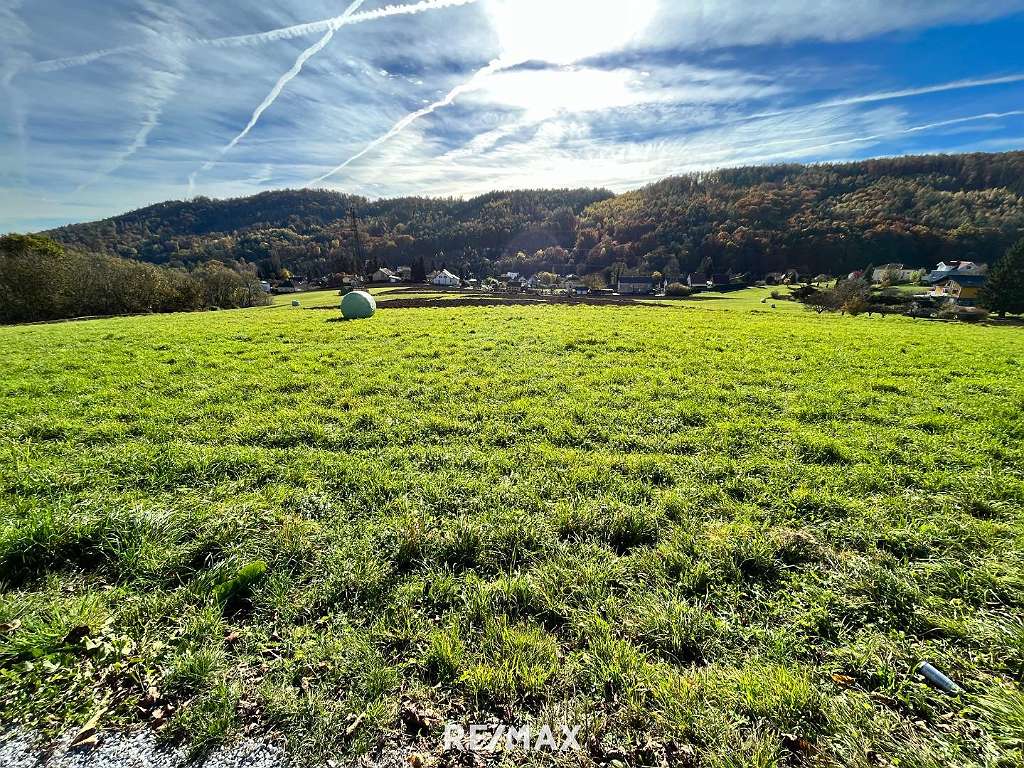  Land in Strassgang, Austria No. 77700