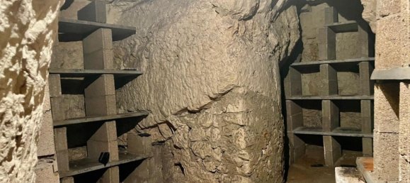  عقار تجاري في Sainte-Maure-de-Touraine, France 180متر مربع رقم 220426 6