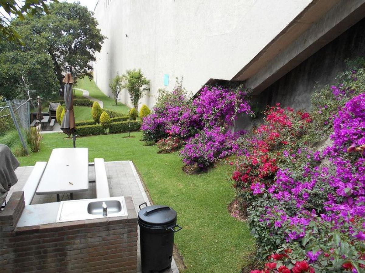 3 غرف نوم شقة في Mexico رقم 225480