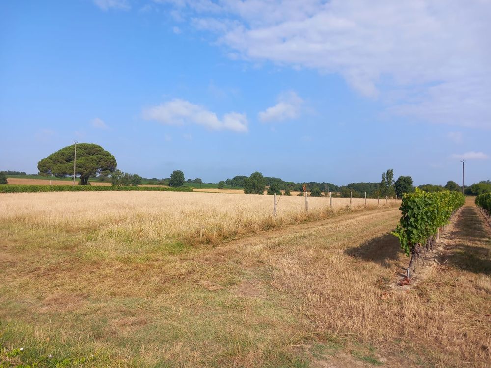 Estúdio em Dunes, France N.º 281333