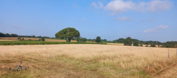 Estúdio em Dunes, France N.º 281333 2