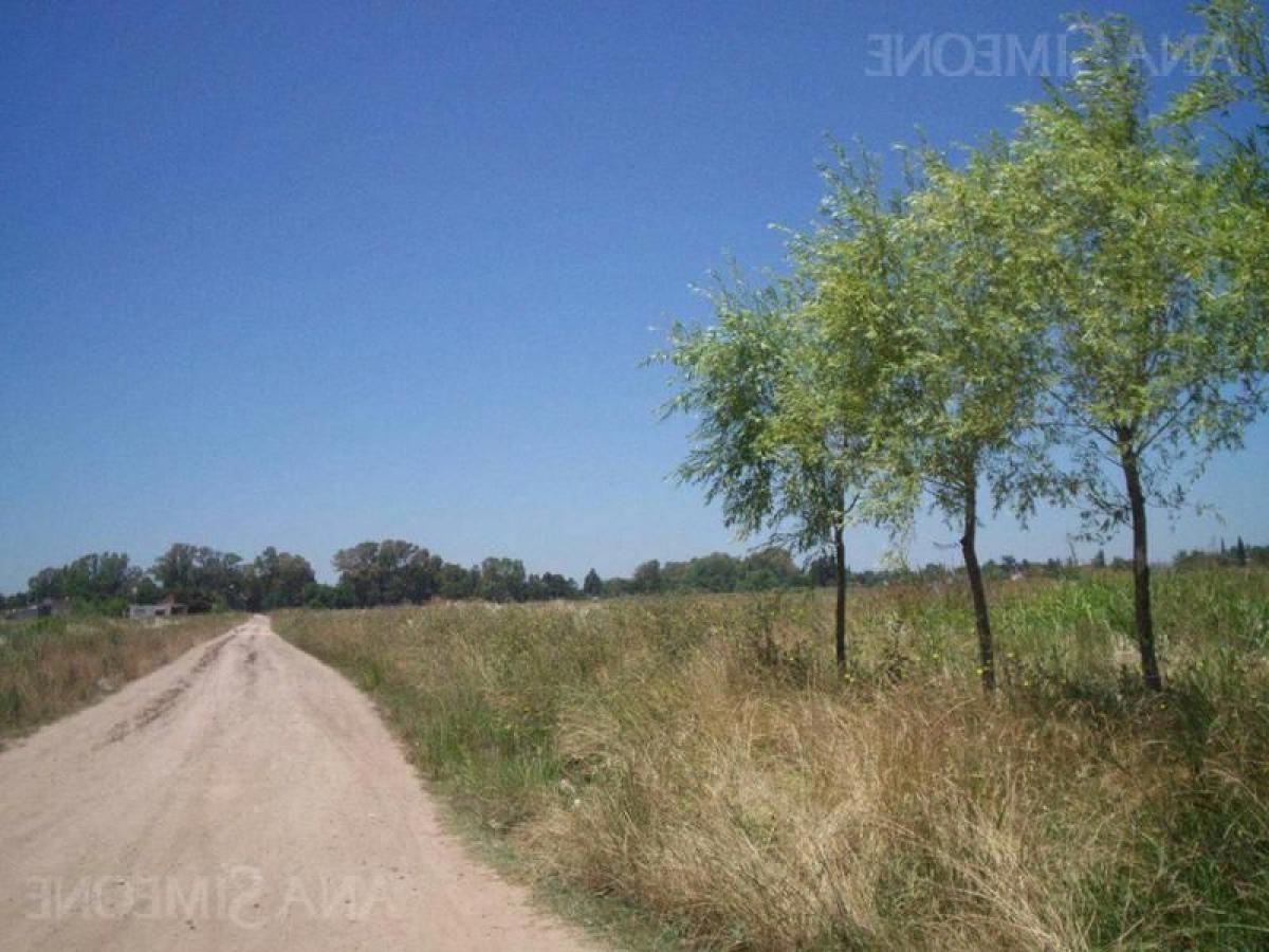 Grundstück in Pilar, Argentina, Nr. 119070