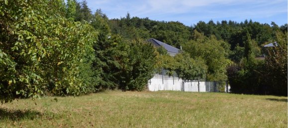  Land in Saarpfalz, Germany No. 299034 4