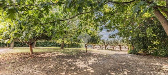 11 bedrooms Villa in Cerveteri, Italy No. 359835 6