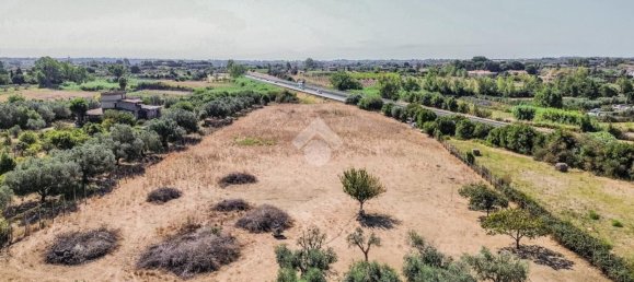 11 bedrooms Villa in Cerveteri, Italy No. 359835 39