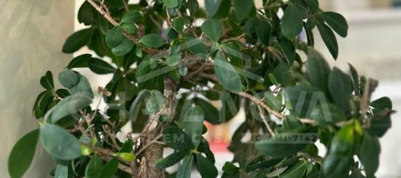 Imóvel comercial em Seixal, Portugal 74 m² N.º 50601 16