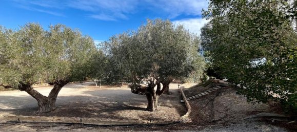 4 Schlafzimmer Haus in Murcia, Spain, Nr. 141178 37