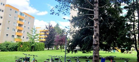 3 rooms Apartment in Baden, Austria No. 217867 16