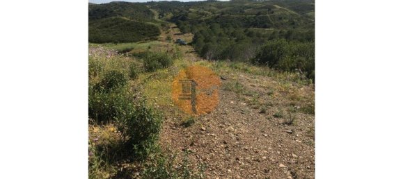 Terreno em Azinhal, Portugal 3676 m² N.º 65758 2