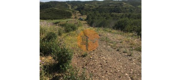 Terreno em Azinhal, Portugal 3676 m² N.º 65758 3